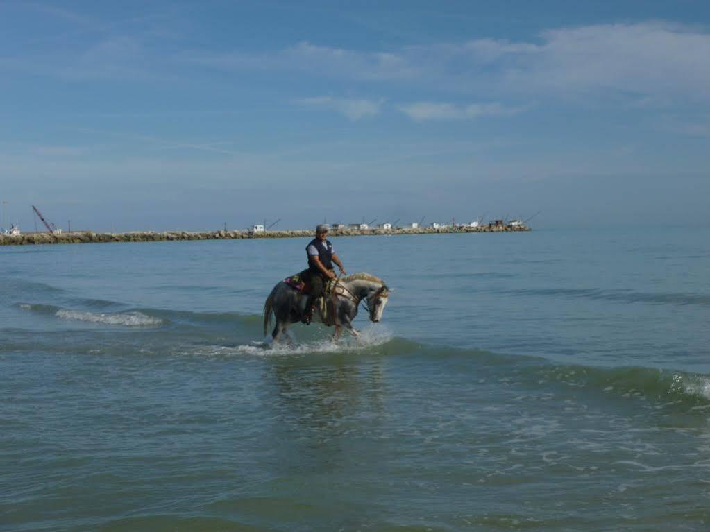 Elisir B&B Pescara Dış mekan fotoğraf