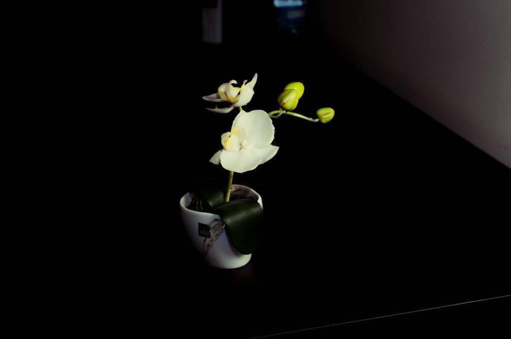 Elisir B&B Pescara Dış mekan fotoğraf