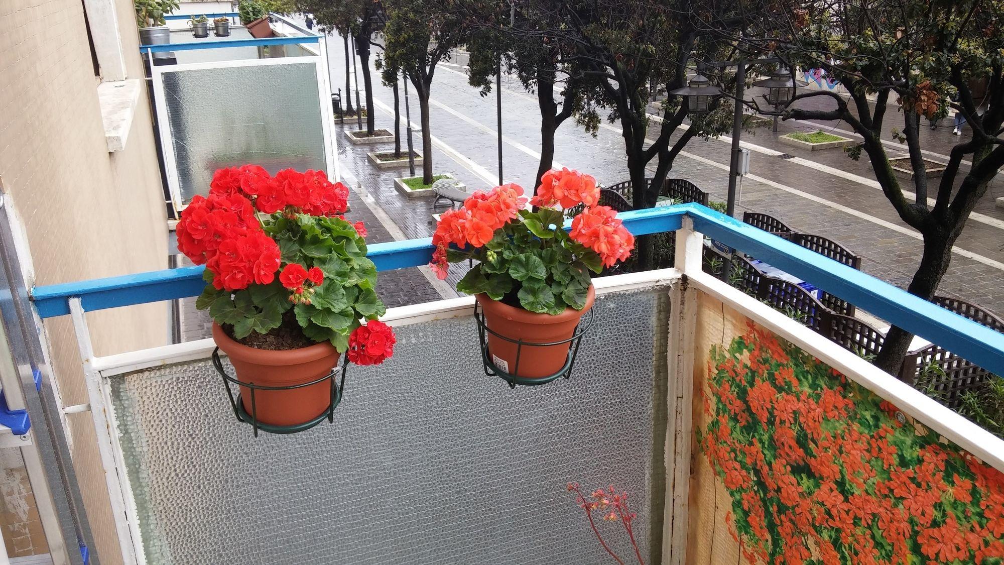 Elisir B&B Pescara Dış mekan fotoğraf